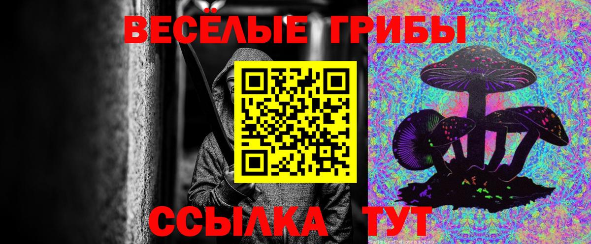 Железногорск  Псилоцибиновые грибы GOLDEN TEACHER  Вход с VPN 